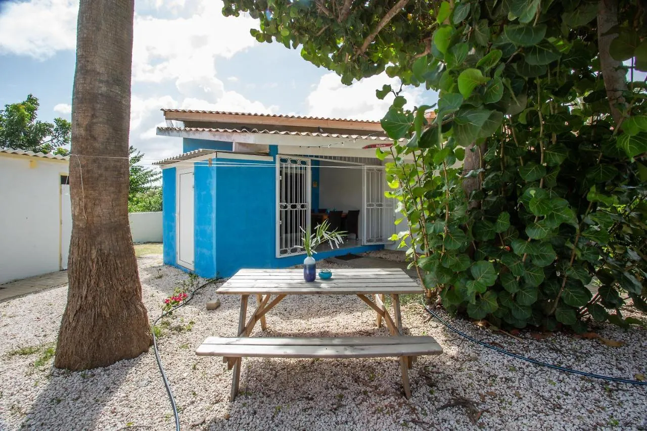 Studio At The Pool In Tropical Resort Seru Coral With Privacy And Large Pool 威廉斯塔德 0*,  库拉索